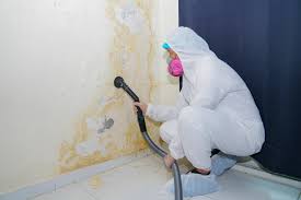 Best Mold Remediation for Healthcare Facilities  in Woodbranch, TX